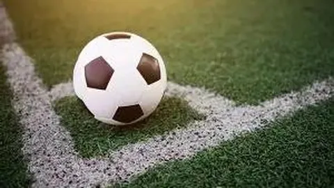 张恒新生儿出生证公开，母亲栏拼音与郑爽一致