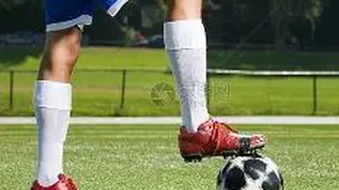 开云体育app功能 产品 093434 267