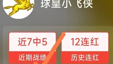 开云体育功能 125213 9